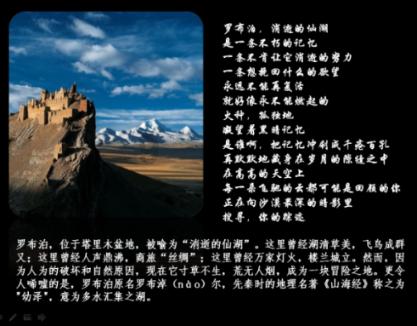救援受困的鹭